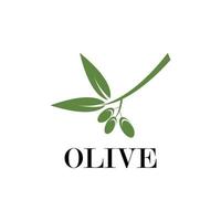 modèle de logo olive vecteur