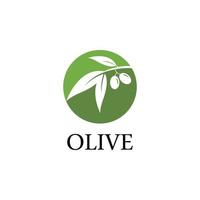 modèle de logo olive vecteur