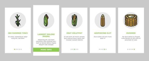 maïs maïs vert, cob doux onboarding icons set vector