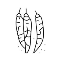 illustration vectorielle d'icône de ligne de piment séché vecteur