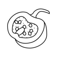 illustration vectorielle d'icône de ligne de morceau de citrouille coupée vecteur