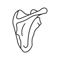 illustration vectorielle de l'icône de la ligne osseuse de l'omoplate vecteur