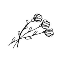 bouquet de fleurs croquis illustration vectorielle sur fond blanc vecteur