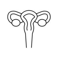 utérus, femme, orgue, ligne, icône, vecteur, illustration vecteur
