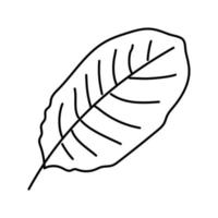 illustration vectorielle de l'icône de la ligne des feuilles tropicales calathea vecteur