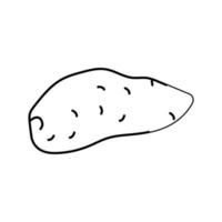 L'icône de la ligne de pommes de terre douce igname vector illustration