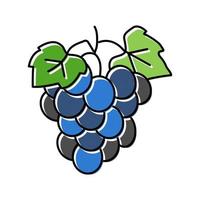 illustration vectorielle d'icône de couleur de vin de raisin bleu vecteur