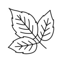 feuilles framboise fruit ligne icône illustration vectorielle vecteur
