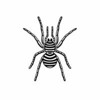 symbole du logo tarentule. conception de pochoir. illustration vectorielle de tatouage animal. vecteur