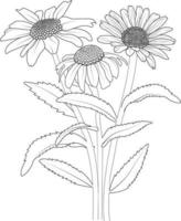 croquis de vecteur de fleurs de marguerite. illustration vectorielle d'une belle fleur avec un bouquet de fleurs et de feuilles de camomille, jolies pages à colorier,