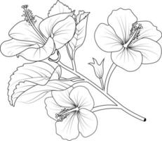 livre de coloriage de fleurs, croquis vectoriel de fleurs d'hibiscus, fleur de sharaon dessinée à la main, collection d'illustrations de bourgeons de feuilles botaniques gravées à l'encre.