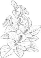 illustration vectorielle de fleurs d'hibiscus d'un beau bouquet de fleurs, livre de coloriage dessiné à la main d'artistique, fleurs de fleurs sharon isolé sur la conception de tatouage de fond blanc. vecteur