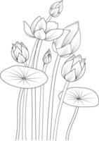 pages à colorier pour adultes, bouquet de fleurs de nénuphar dessiné à la main de croquis vectoriel de lotus, beaux éléments de jardin botanique, illustration d'encre gravée décorative, collaction florale d'été,