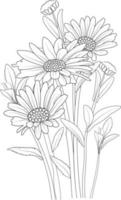 bouquet de fleurs de marguerite de vecteur croquis illustration dessinée à la main, branche de collaction naturelle de feuilles bourgeon vase dessin de contour art d'encre gravé isolé sur fond blanc