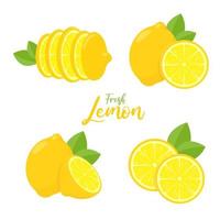 Fruits de citron jaune de vecteur avec goût aigre pour la cuisson et presser pour faire de la limonade saine