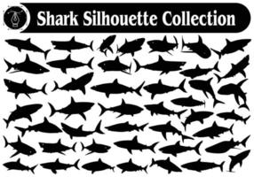 collection de vecteur de silhouette de requin animal