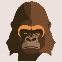 animal tête mammifère primate gorille