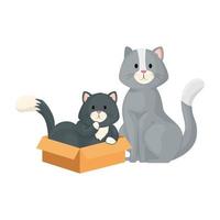 Mignons petits chats avec icône isolé de boîte carton vecteur