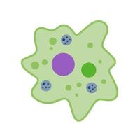 cellule amibienne. petit animal unicellulaire. virus et bactéries. l'éducation et les sciences. illustration de dessin animé plat vecteur