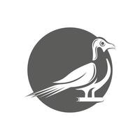 conception et symbole élégants d'icône de logo d'oiseau vecteur