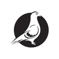 conception et symbole élégants d'icône de logo d'oiseau vecteur