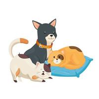 chats mignons et chien avec icône isolé de coussin vecteur