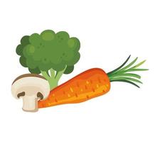 brocoli frais avec des icônes isolées de légumes vecteur