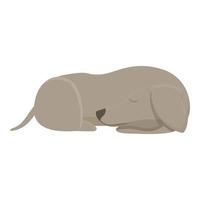 vecteur de dessin animé d'icône de sommeil de lévrier. chien animal