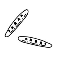 baguettes de pain français dessinées à la main dans un style doodle. vecteur