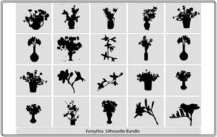 forsythia suspensa fleurs branche et fleurs. modèle de carte vecteur