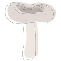 champignon russula delica. champignons biologiques comestibles. truffe. types de champignons sauvages forestiers. illustration de vecteur coloré isolé sur fond blanc.