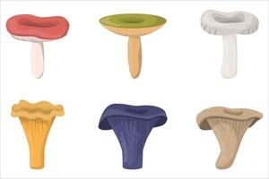 ensemble de champignons. champignons biologiques comestibles. truffe. types de champignons sauvages forestiers. illustration de vecteur coloré isolé sur fond blanc.