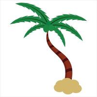 palmier avec feuillage en style cartoon isolé sur illustration vectorielle stock fond blanc. plante tropicale de plage sauvage, trank en bois. . illustration vectorielle pro vecto vecteur