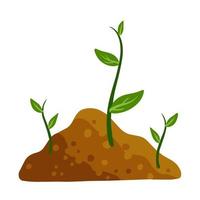 pousse de plante dans le sol. feuilles vertes de jeunes plants dans le sol. illustration de dessin animé plat vecteur