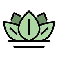 vecteur de contour couleur icône feuille à base de plantes spa