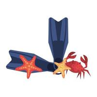 tongs d'été et crabe avec étoile de mer vecteur