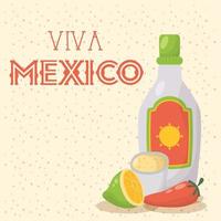 Célébration de viva mexico avec une bouteille de tequila vecteur