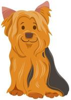 personnage de dessin animé de chien york ou yorkshire terrier vecteur