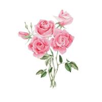 bouquet de fleurs rose rose aquarelle pour la saint valentin vecteur