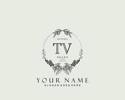 monogramme de beauté tv initial et design de logo élégant, logo manuscrit de signature initiale, mariage, mode, floral et botanique avec modèle créatif. vecteur