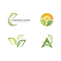 logos de l'écologie des feuilles d'arbre vert vecteur