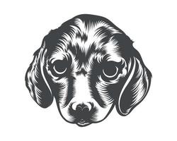 illustration vectorielle de race de chien teckel, vecteur de chien teckel sur fond blanc pour t-shirt, logo et autres