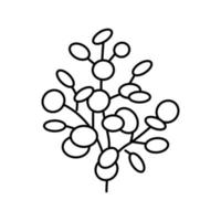 eucalyptus aromathérapie ligne icône vecteur illustration isolée