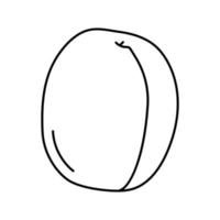 illustration vectorielle de l'icône de la ligne de fruits mûrs abricot vecteur