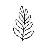 illustration vectorielle de l'icône de la ligne de fougère d'eau africaine vecteur