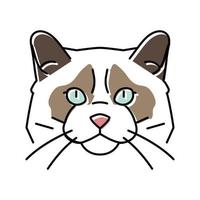 chat ragdoll mignon animal de compagnie couleur icône illustration vectorielle vecteur