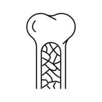 illustration vectorielle de l'icône de la ligne de la moelle osseuse vecteur