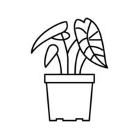 illustration vectorielle d'icône de ligne de plante d'intérieur tropicale vecteur