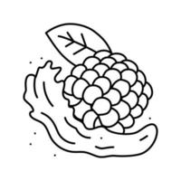illustration vectorielle de l'icône de la ligne blackberry délicieuse vecteur