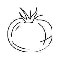 illustration vectorielle de l'icône de la ligne de légumes vitamine tomate vecteur